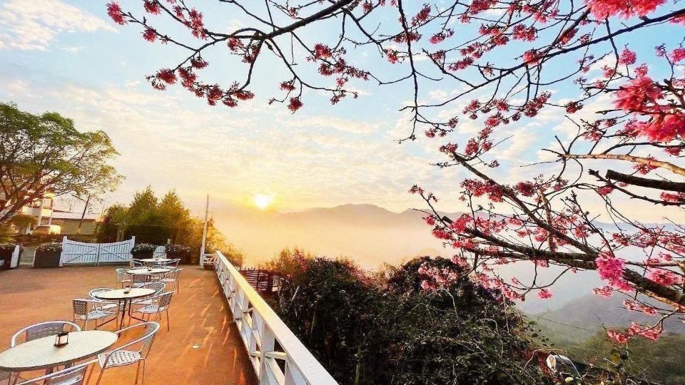 Alishan Home