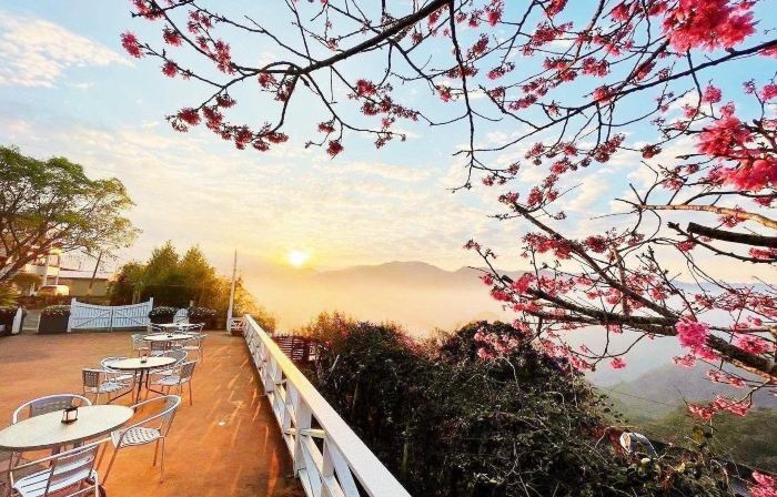 Alishan Home