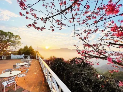 阿里山茶香花園民宿 嘉義縣住宿飯店