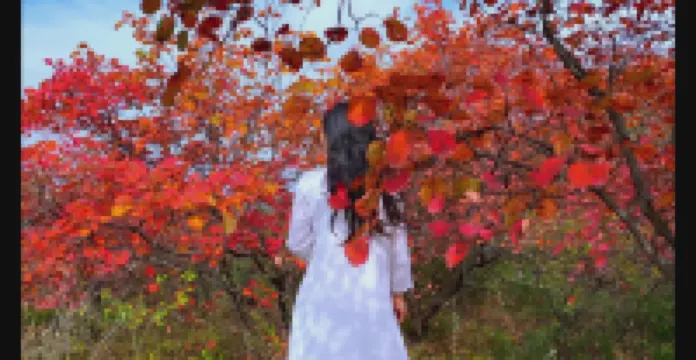 Shanzhebian Homestay (Dengfeng Songshan Scenic Area Store)