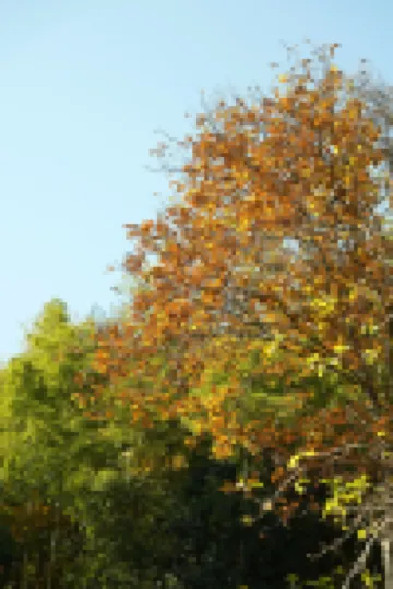 桐廬原鄉蘆茨民宿 鄰近嚴子陵釣台景區的酒店