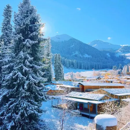 Look Up at the Starry Sky Resort Manor