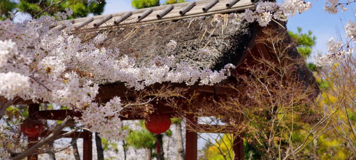 Zhongnan Jingzhuang Hot Spring Resort Các khách sạn ở Tây An