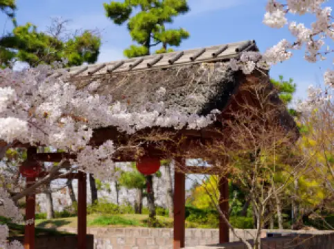 รีสอร์ทน้ำพุร้อนจงหนาน จิ่งจวง