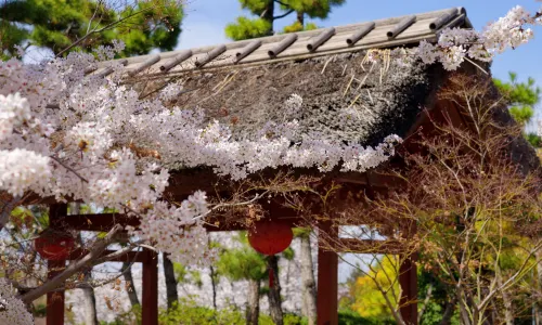 รีสอร์ทน้ำพุร้อนจงหนาน จิ่งจวง