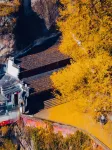 Crowne Plaza HANGZHOUONETHOUSANDISLANDLAKE by IHG - romantici