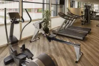Ibis Schiphol Amsterdam Airport - Gym
