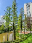 Ningxiang Yunqi Hotel (Economic Development Zone Administrative Committee)