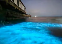 小小的泳池庭院花園美宿(潿洲島西角碼頭店) - 浪漫/情侶