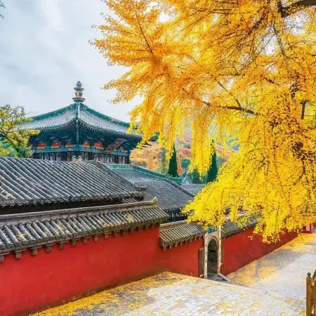 Dengfeng Shangxi Hotel (Dayu City)