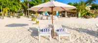 Dhiffushi Reef & Beach - Pensions