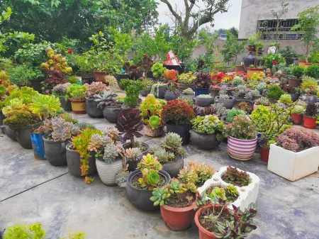 Hanyuan Sijiyuan Homestay