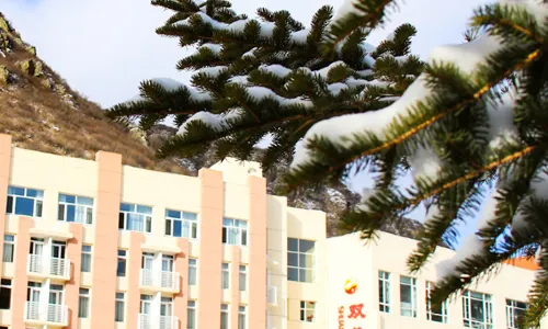 Shuanglong Hotel