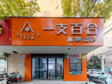 Yizhihua Smart Hotel (Wanyu Pedestrian Street) Отели рядом со станцией Funan Railway Station