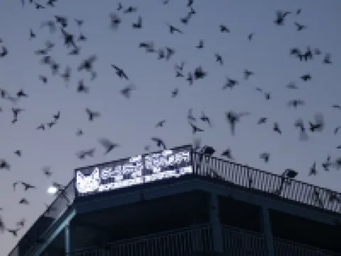 Suorsdei Sawadee Hotels in Kampot