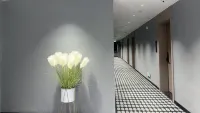 โรงแรมไวโอเล็ต - ที่มีที่จอดรถ
