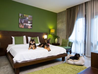 Ketawa Pet Friendly Hotel