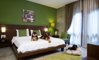 Ketawa Pet Friendly Hotel