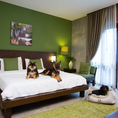 Ketawa Pet Friendly Hotel Отели рядом с достопримечательностью «Ват Буппарам»