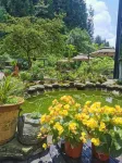 Liuqi Shanju Guesthouse - Parking