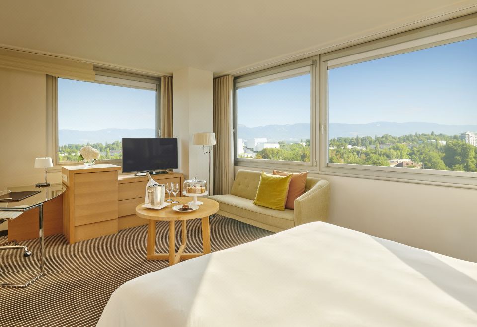 InterContinental Genève 수영장