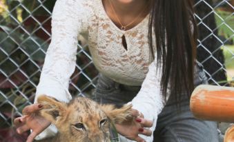 lion resort&cafe