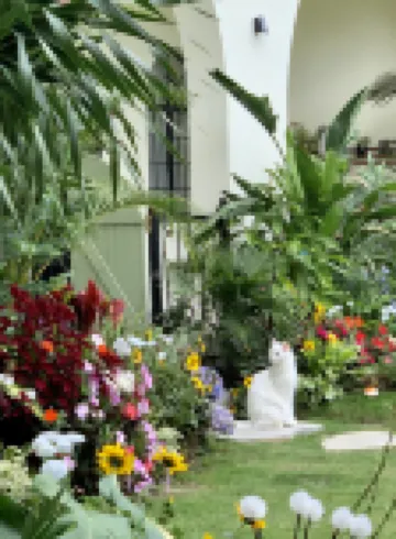 Dali Yi Yu French Country-Style Boutique Inn Hôtels à proximité de : Shendu