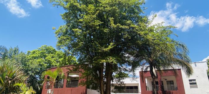 LOU WAI LOU MANSIONS Hotels in Harare