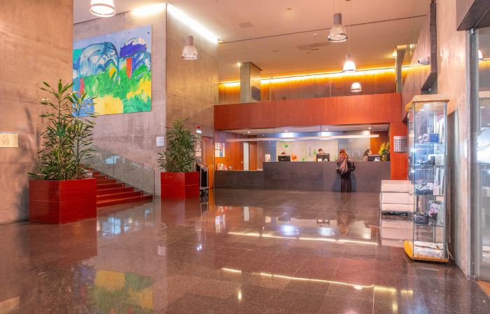 VIP Executive Arts Hotel