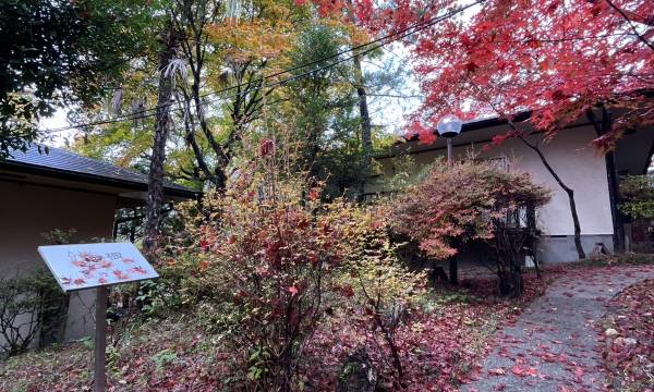 KaederesortKinugawa Onsen