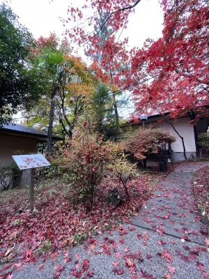kaederesortKinugawa Onsen 住宿飯店