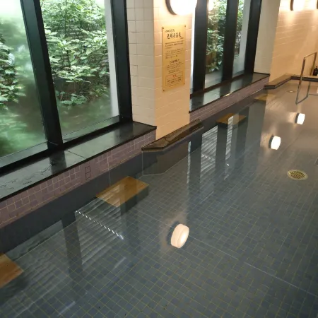 Hotel Nikko Nara