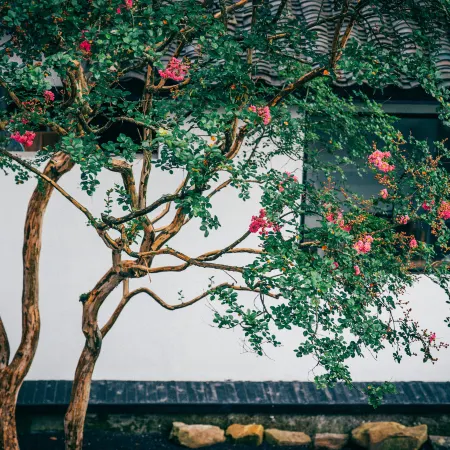 Anlan Creek Spring B&B