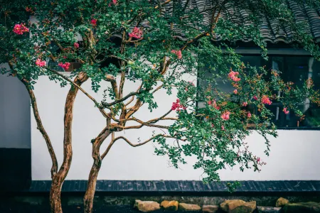 Anlan Creek Spring B&B Отели рядом с достопримечательностью «Xixin Temple»