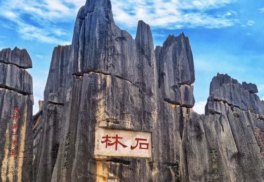 인루이린 인터내셔널 호텔의 넓은 로비 이미지