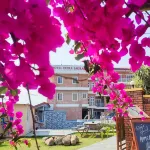 雅特拉飯店 住宿飯店