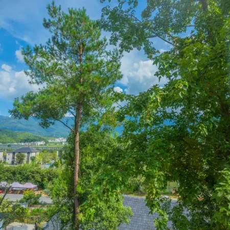 Fushe Mountain Lodge