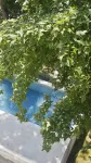 Fushe Mountain Lodge - Rooftop Pools