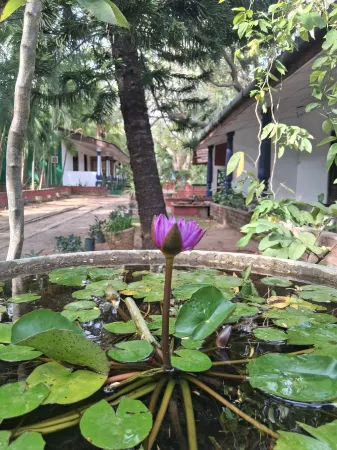 Eco Nature Lodge - Habarana