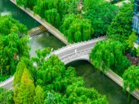International  Hotel.LuoYang - Romantic