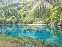 Tuke Qingju Hotel (Jiuzhaigou National Park Eternal Love) - romantis