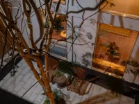 WINGHOTEL - New