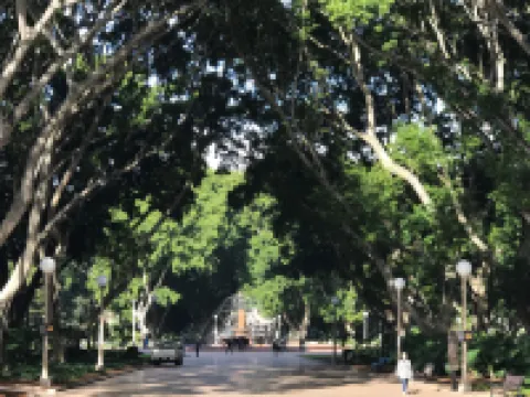 Stay Central – Surry Hills Comfort Near Everything