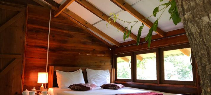 Sky Forest Hotels in Anuradhapura