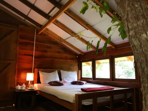 Sky Forest - Pet friendly