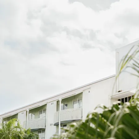 The Leea, Darwin