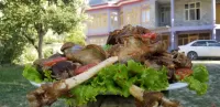 Hikal Guest House - 3-Star