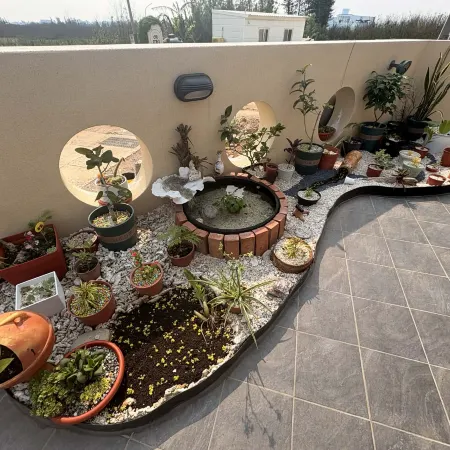 Howling Fish Enjoy Homestay
