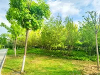 Lening Chinese Inn (Dongxin Plaza) - 2성급