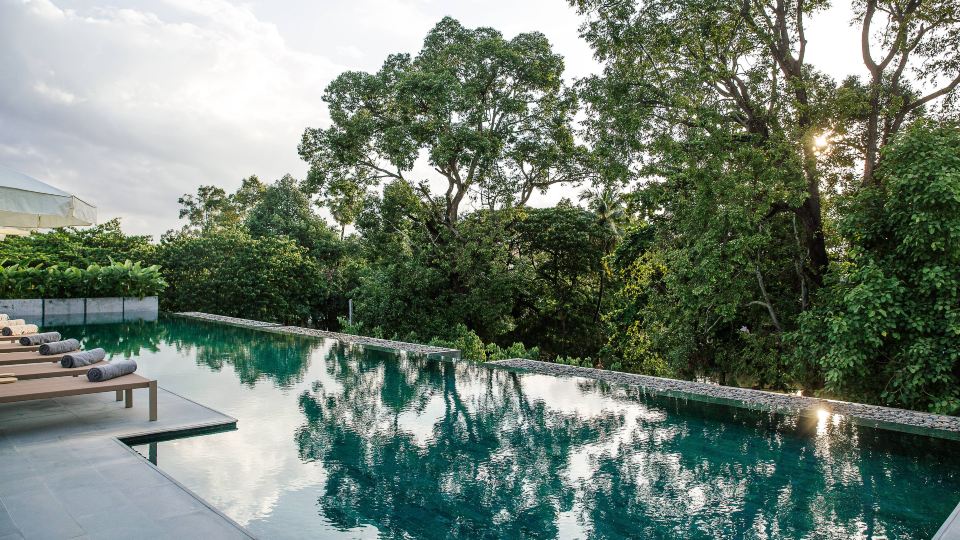 Treeline Urban Resort